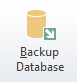 5. Backup Database Button