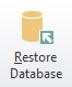 7. Restore Database Button