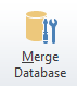 8. Merge Databases Button